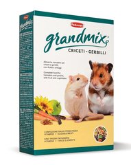 Padovan GRANDMIX CRICETI GERBILLI корм для хом'яків та мишей 400 г