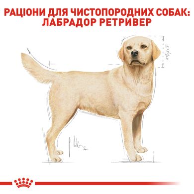 Royal Canin Dog Labrador Retriever Adult (Лабрадор ретривер) для взрослых 12 кг сухой корм для собак