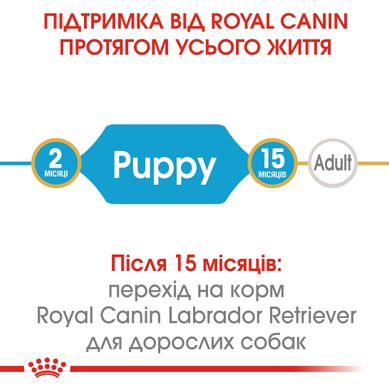 Royal Canin Dog Labrador Retriever Puppy (Лабрадор Ретривер) для щенков 3 кг сухой корм для щенков