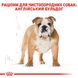 Royal Canin Dog Bulldog Adult (Бульдог) для дорослих собак 12 кг