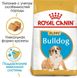 Royal Canin Dog Bulldog Puppy (Бульдог) для щенков