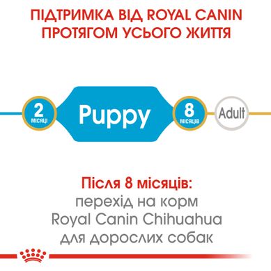 Royal Canin Dog Chihuahua (Чіхуахуа) Puppy для цуценят 500 гр