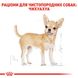 Royal Canin Dog Chihuahua Adult (Чіхуахуа) для дорослих собак 500 гр