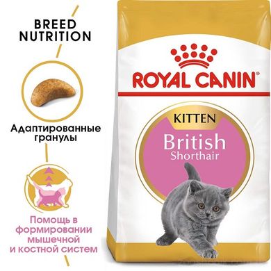 Royal Canin Cat British Shorthair Kitten (Британская короткошерстная) сухой корм для котят 400 грамм