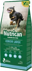 Nutrican Junior Large для щенков крупных пород 15 кг