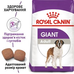 Royal Canin Dog Giant Adult 15 кг сухой корм для собак