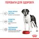 Royal Canin Dog Giant Junior 15 кг сухой корм для щенков