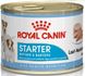 Royal Canin Dog Starter Mousse 195 грамм