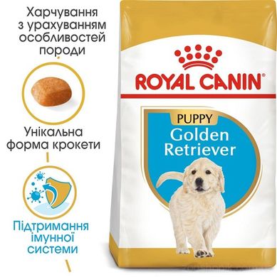 Royal Canin Dog Golden Retriever (Голден Ретрівер) Puppy для цуценят