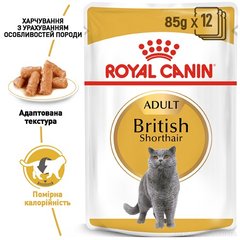 Royal Canin Cat British Shorthair Adult (Британская кошка) Консервы в соусе 85 грамм консервы для котов