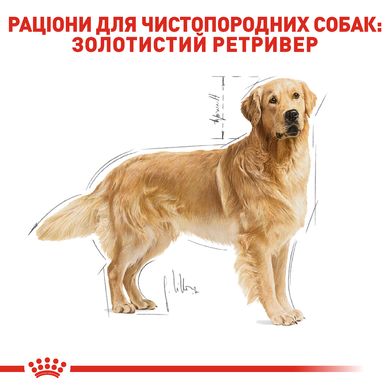 Royal Canin Dog Golden Retriever Adult (Голден Ретривер) для взрослых собак 12 кг сухой корм для собак