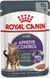 Royal Canin Cat Appetite Control Care loaf у паштеті