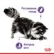 Royal Canin Cat Appetite Control Care loaf в паштете 85 грамм консервы для котов