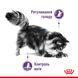 Royal Canin Cat Appetite Control Care Сухой корм для котов 2 кг