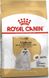 Royal Canin Dog Maltese Adult (Мальтийская болонка) 500 грамм сухой корм для собак