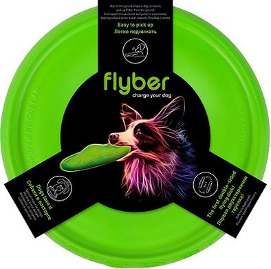 Flyber двусторонняя летающая тарелка для собак 22 см