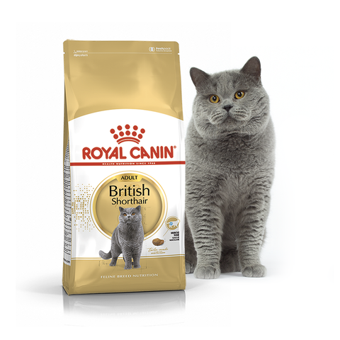 Royal Canin Cat British Shorthair