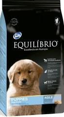 Equilibrio Puppies Large Breeds сухий корм для цуценят
