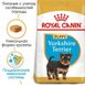 Royal Canin Dog Yorkshire Terrier Puppy (Йоркширский терьер) для щенков 500 грамм сухой корм
