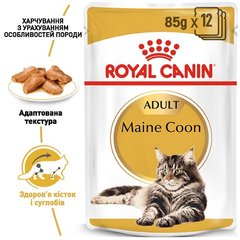 Royal Canin Cat Maine Coon Adult (Мейн Кун) Консервы в соусе 85 грамм консервы для котов