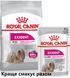 Royal Canin Dog Adult Exigent Loaf паштет для собак