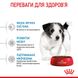 Royal Canin Dog Mini Puppy 800 грамм сухой корм для щенков
