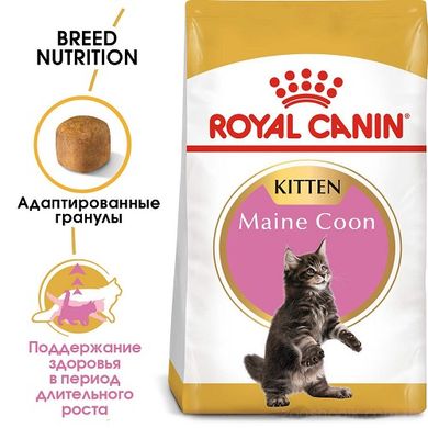 Royal Canin Cat Maine Coon Kitten (Мейн Кун) сухой корм для котят 400 грамм