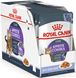 Royal Canin Cat Appetite Control Care шматочки в желе