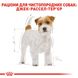 Royal Canin Dog Jack Russell Terrier (Джек Рассел Тер'єр) Adult для дорослих собак 1.5 кг