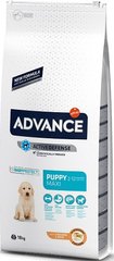 Advance Dog Maxi Puppy Корм ​​для цуценят великих порід 3 кг