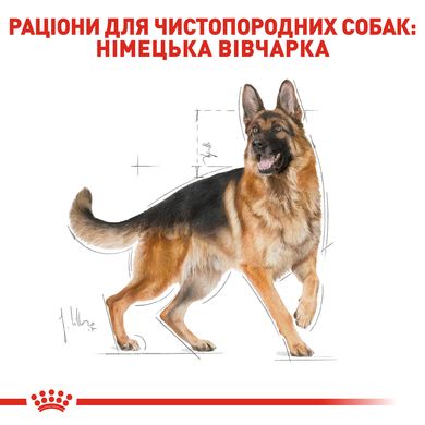 Royal Canin Dog German Shepherd (Немецкая овчарка) Adult для взрослых 3 кг сухой корм