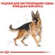 Royal Canin Dog German Shepherd (Немецкая овчарка) Adult для взрослых 3 кг сухой корм