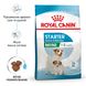 Royal Canin Dog Mini Starter 1 кг