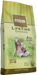 Enova Dog Lifetime Growing 2 кг