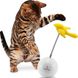 PetSafe FroliCat Chatter Интерактивная игрушка-неваляшка для кошек
