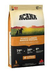 Сухий корм для собак ACANA Puppy Large Breed Recipe для цуценят великих порід 17 кг (a50117)