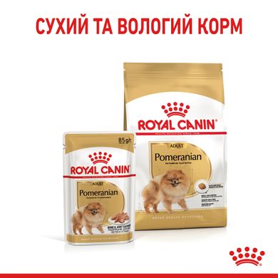 Royal Canin Dog Pomeranian Adult (Померанский шпиц) для взрослых 500 грамм сухой корм
