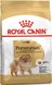 Royal Canin Dog Pomeranian Adult (Померанський шпіц) для дорослих 500 гр