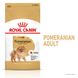 Royal Canin Dog Pomeranian Adult (Померанский шпиц) для взрослых 500 грамм сухой корм