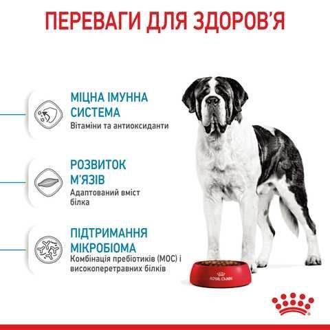 Купить Royal Canin Dog Giant Junior сухой корм для щенков недорого