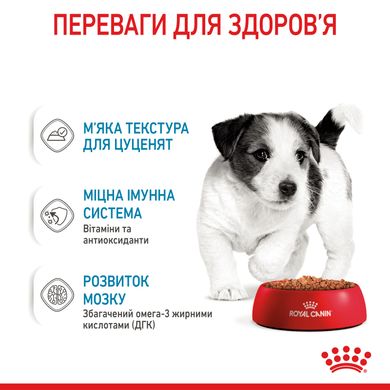 Royal Canin Dog Mini Puppy в соусе для щенков 85 грамм