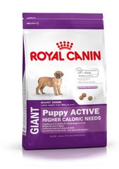 Royal Canin Dog Giant Puppy Active
