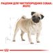 Royal Canin Dog Pug (Мопс) для дорослих 3 кг