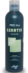 Nogga Pro Line Keratin Mask - маска для восстановления шерсти 250 мл