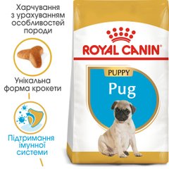 Royal Canin Dog Pug Puppy (Мопс) для щенков 1.5 кг сухой корм для щенков