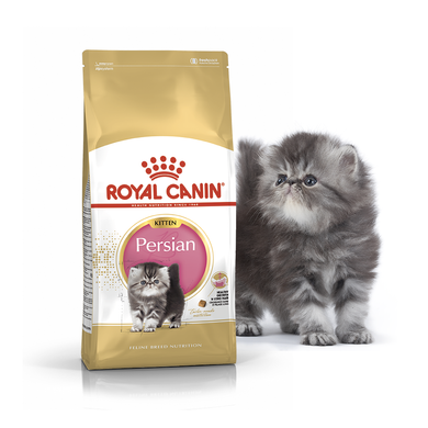 Royal Canin Cat Persian Kitten (Персидская порода) сухой корм для котят