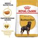 Royal Canin Dog Rottweiler Adult (Ротвейлер) для дорослих.