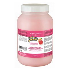 Маска Iv San Bernard Pink Grapefruit для середньої шерсті, з грейпфрутом та Вітамином В6, 3л ( 2 шт/уп)