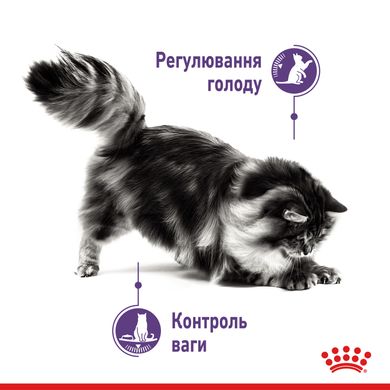 Royal Canin Cat Appetite Control Care кусочки в соусе 85 грамм консервы для котов