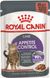 Royal Canin Cat Appetite Control Care шматочки в соусі